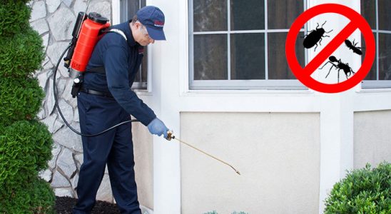 Doğançay Hamam Böceği İlaçlama böcek ilaçlama ve haşere kontrolü — ilaclama-tr.com